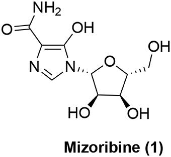 Toward Developing Chemical Modulators of Hsp60 as Potential Therapeutics